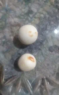 2تا سنگ اسیاب