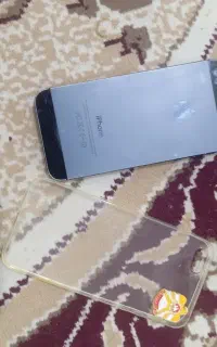 شادگان