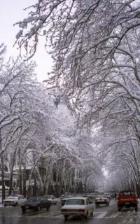 تور دهلران
