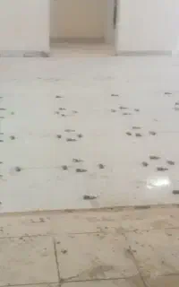 نسب کاشی و سرامیک تخریب باهیلتی رفع نم  گچ کاری