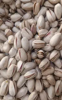 پسته اکبری درجه یک ممتاز