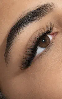 مژه