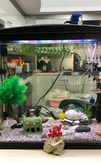 اکواریوم ماهیران ۶۵ لیتری