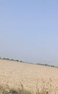 خریدار جو هستم