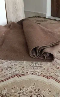 موکت