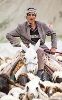 چوپان