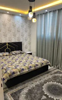 خانم نظافتچی برای امور منزل