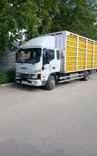 کامیون دیما ۹تن