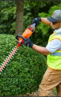 تشخیص وعیبیابی ومریضی گل وگیاه باغبانی وسمپاشی