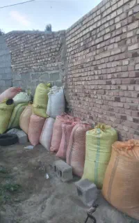 ۱۴گونی پوکه تخمه روغنی واسه فروش