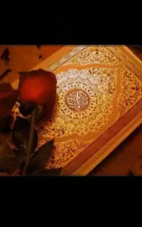 سرکتاب