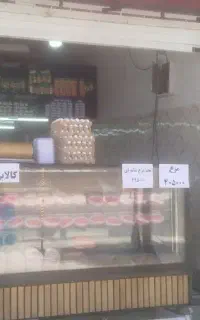 نیرو مرغ خرد کن مرغ فروشی