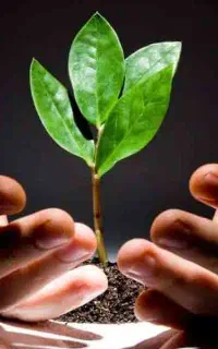 پک تضمینی ترک متادون