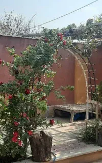 استخدام نیرو خانم واقا سفره خانه باغ صبا