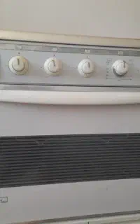 یک عددگازفردارسالم