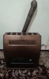 بخاری مشهد دوام اصل در حد نو