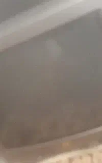 تلویزیون جی وی سی