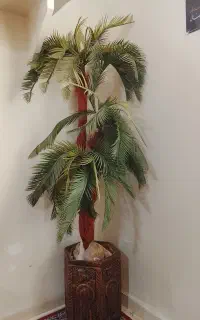 گل نخل مصنوعی