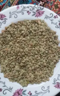 عدس بوجاری شده
