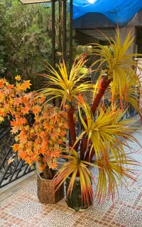 درختچه مصنوعی