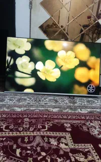 تلویزیون سونیا 65 اینچ هوشمند دهگلان