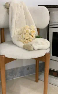 دو عدد صندلی تدی با چوب راش