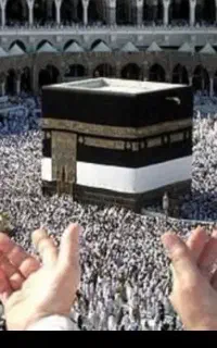 ۳ عدد فیش بانک ملی حج عمره