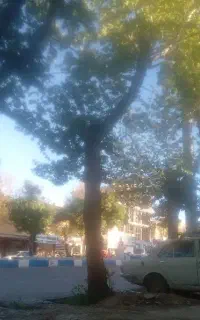 انجام کارهای کشاورزی درخدمت شما هستیم