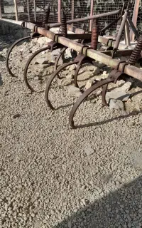 پنجه غازی برزیلی سالم و آماده به کار