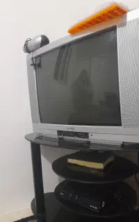 تلوزیون