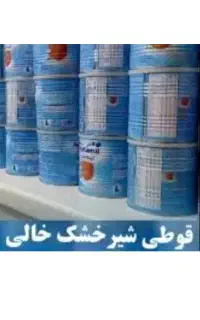 قوطی