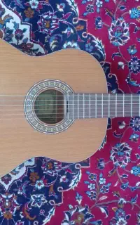 گیتار آلویرا اندونزی