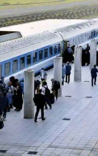 نقل و انتقال فیش حج ، گشت مشهد مقدس