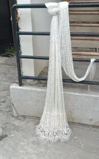 سالی کولی