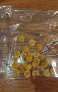 خرج کار خیاطی ( تزئین لباس)