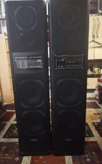 اسپیکر ایستاده جفت Gold Zest مدل AS-G300