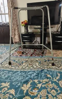 واکر  در حد نو قیمت ۵۵۰ هزارتومان