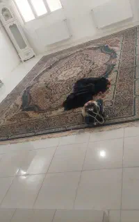 فرش 12 متری