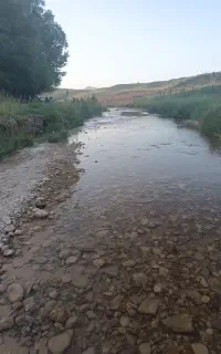 پیاده روی سبک