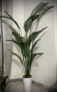 درختچه مصنوعی فقط ۲۶۰۰
