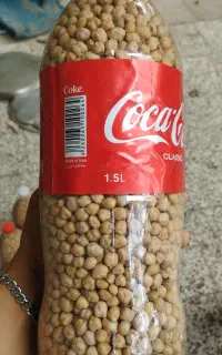 نخود آب گوشتی درجه یک