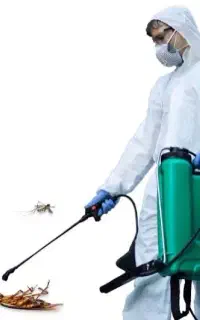 سمپاشی صد درصد تضمینی