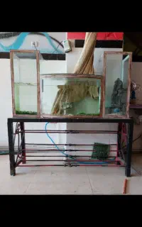 آگواریم باپایه ووسایل
