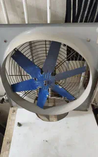 فن  یک در یک