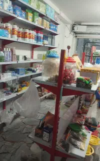 فروش قفسه