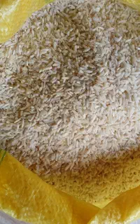 برنج دودی هاشمی کهنه