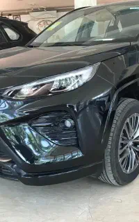 تویتا وایلندر ۲۰۲۵
