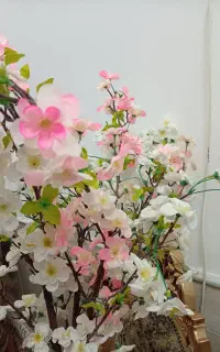 شکوفه شاخه ای