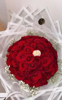 گل رز طبیعی