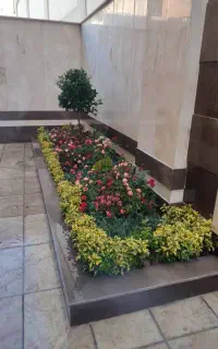 خدمات باغبانی کرج عظیمیه گوهردشت مهرشهر کیانمهر